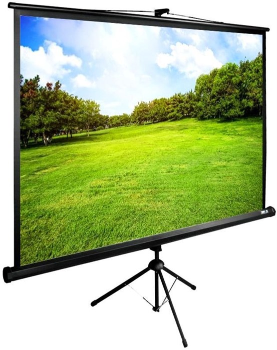 Экран Cactus TriExpert 150x200см (CS-PSTE-200Х150-BK) 35766 - фото 75784