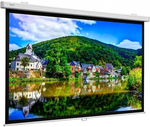 Экран Projecta ProScreen CSR Datalux 154х240 35971 - фото 76054