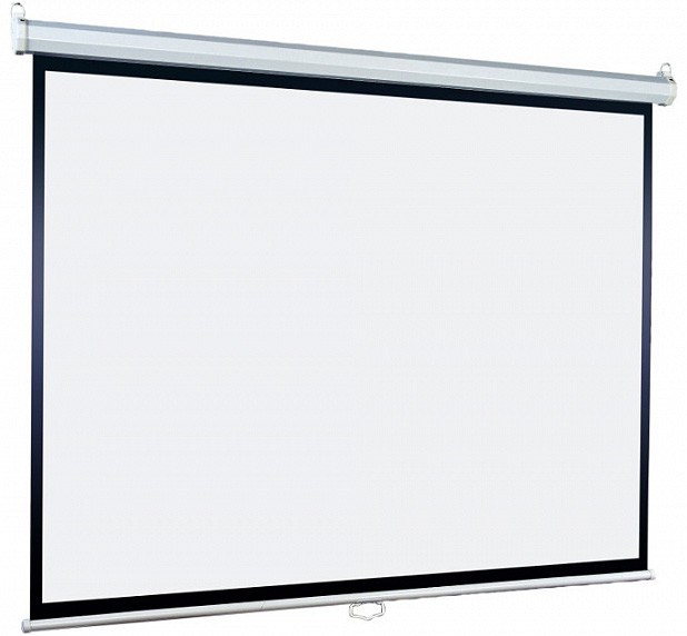 Экран Lumien Eco Picture 178х280 Matte White 36285 - фото 76680