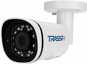 IP камера TRASSIR TR-D2222WDZIR4 25594