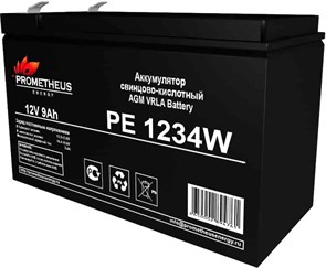 Аккумуляторная батарея Prometheus Energy PE 1234W 29570