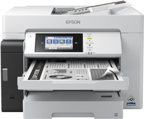 МФУ Epson M15180 34125