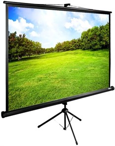 Экран Cactus TriExpert 150x200см (CS-PSTE-200Х150-BK) 35766