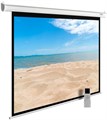 Экран Cactus MotoExpert 180x240см (CS-PSME-240X180-WT) 35751 - фото 75761