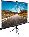 Экран Cactus TriExpert 220x220см (CS-PSTE-220Х220-BK) 35772 - фото 75792