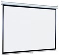 Экран Lumien Eco Picture 178х280 Matte White 35888 - фото 75947