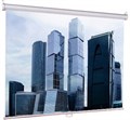 Экран Lumien Eco Picture 200х200 Matte White 35892 - фото 75951