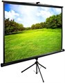 Экран Cactus TriExpert 150x200см (CS-PSTE-200Х150-BK) 36131 - фото 76437